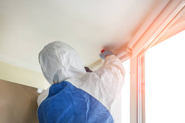 Professional Mold Removal in Bellville, TX